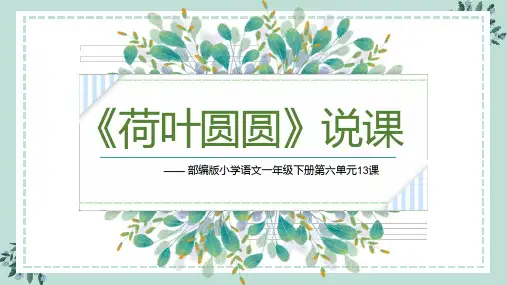 《荷叶圆圆》说课