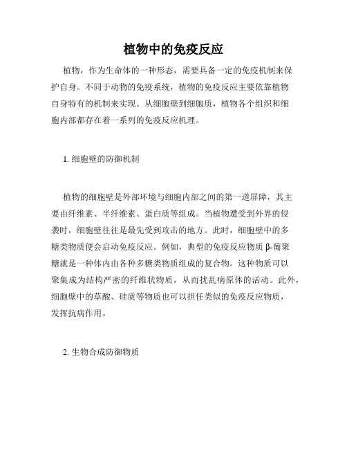 植物中的免疫反应