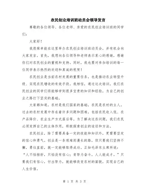 农民创业培训班动员会领导发言