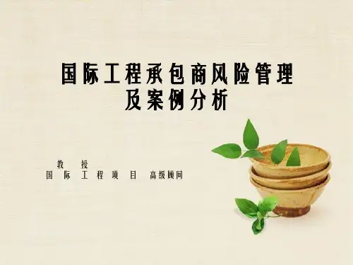 国际工程承包商风险管理及案例剖析