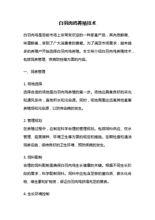 白羽肉鸡养殖技术