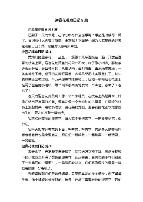 迎春花观察日记5篇