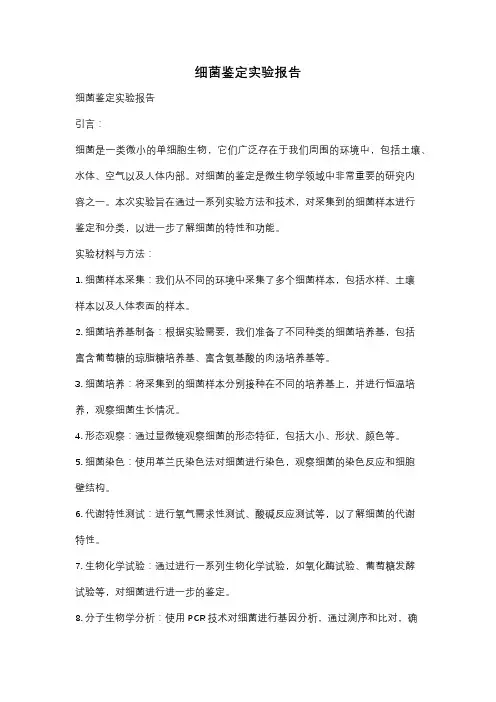 细菌鉴定实验报告