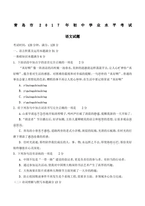 山东省青岛市中考语文试题及答案解析