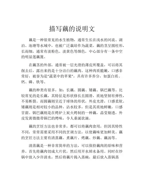 描写藕的说明文