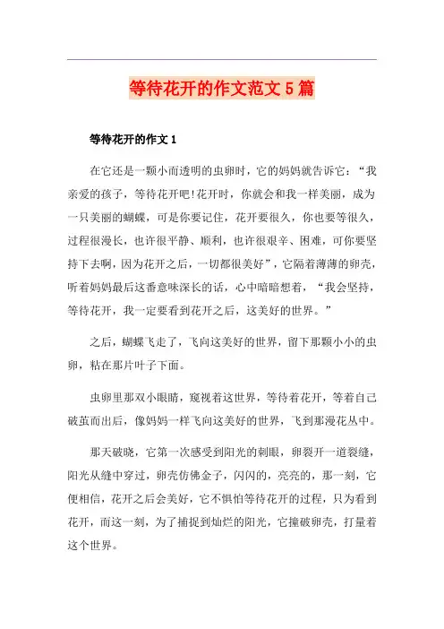 等待花开的作文范文5篇