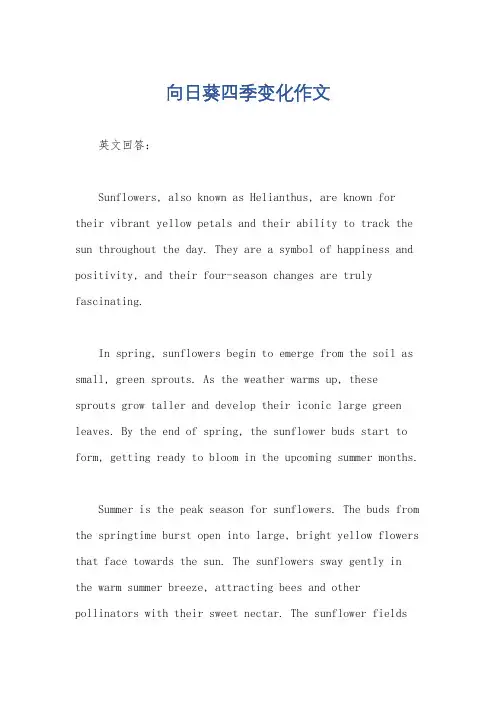 向日葵四季变化作文