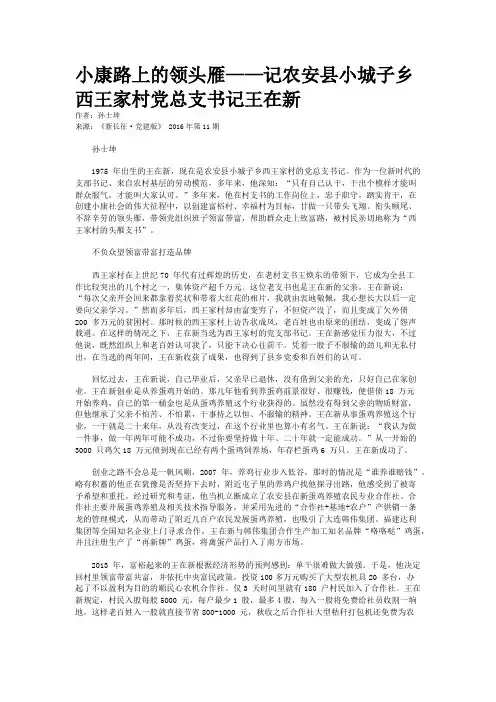 小康路上的领头雁——记农安县小城子乡西王家村党总支书记王在新
