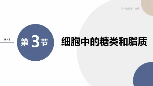 新教材-高中生物学-RJ-必修1第2章- 第3节