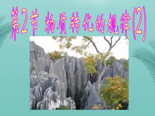 【全版】物质转化的规律推荐PPT