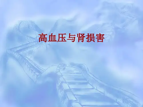 高血压及肾损害ppt课件