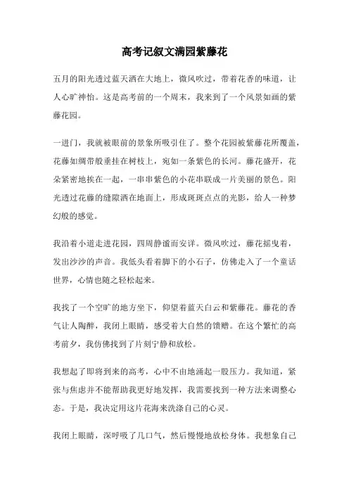 高考记叙文满园紫藤花