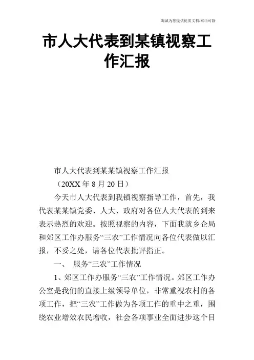 市人大代表到某镇视察工作汇报