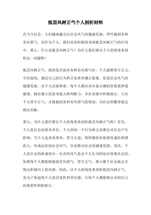 抵歪风树正气个人剖析材料