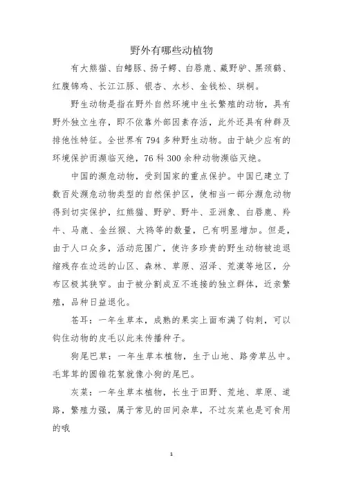 野外有哪些动植物