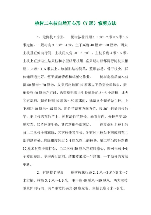 桃树二主枝自然开心形(Y形)修剪方法 