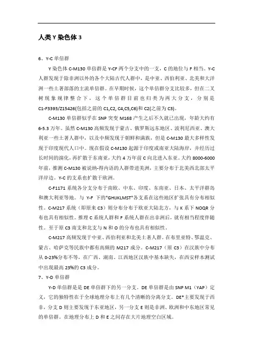 《人类源流》22人类Y染色体3
