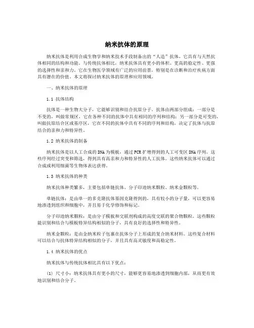 纳米抗体的原理