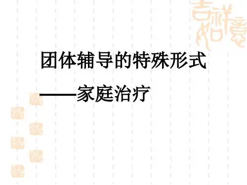 团体咨询教案第十章家庭治疗ppt课件