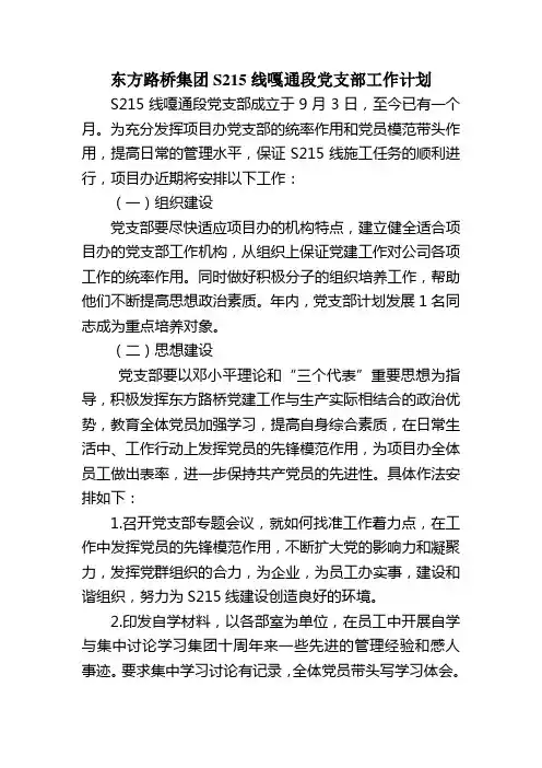 党支部工作计划