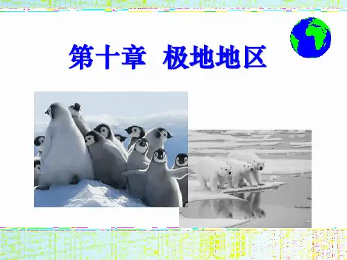 极地地区 (PPT课件)