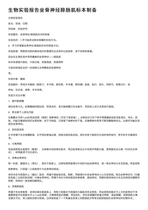生物实验报告坐骨神经腓肠肌标本制备