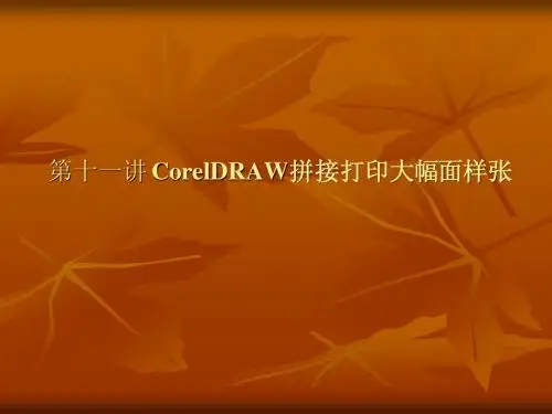 CorelDRAW平面设计-第十一讲(拼接打印大幅面样张)
