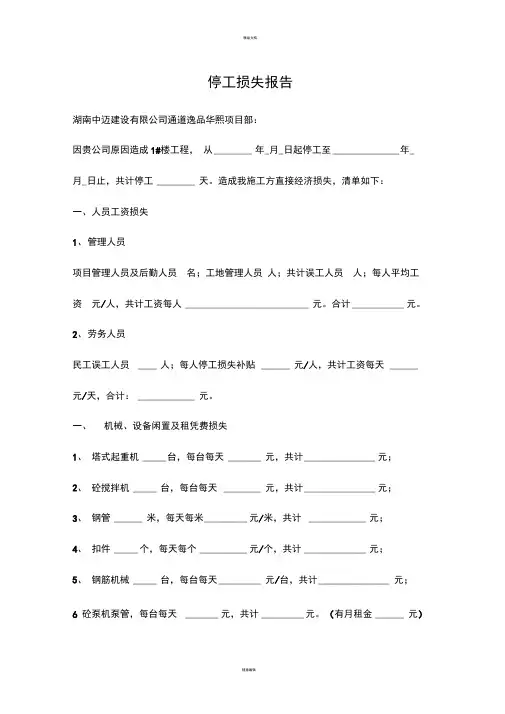 停工损失报告