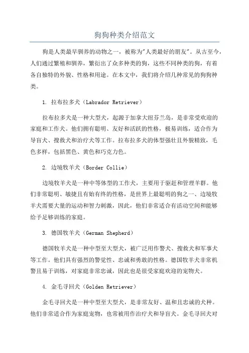 狗狗种类介绍范文