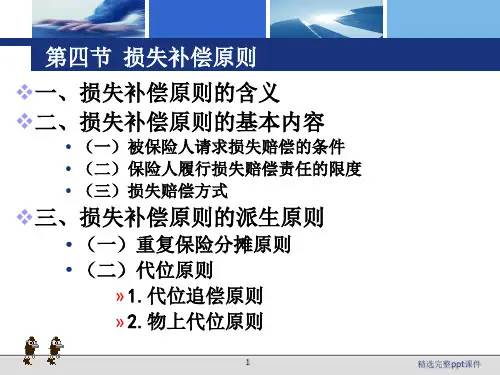 损失补偿原则