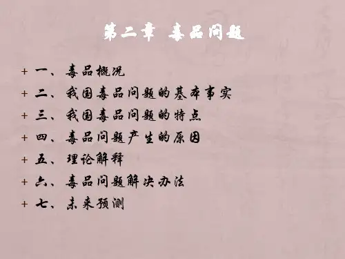 第二章-毒品问题分析