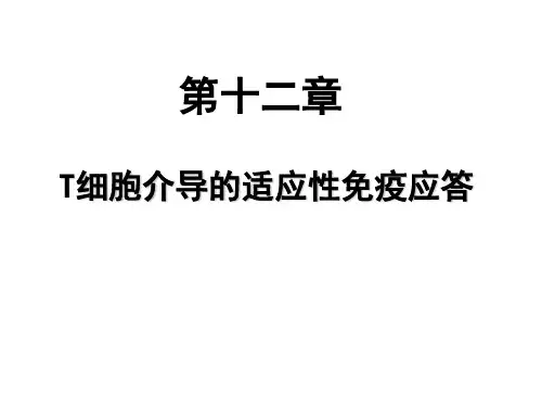 医学免疫学：12 T细胞介导的适应性免疫应答