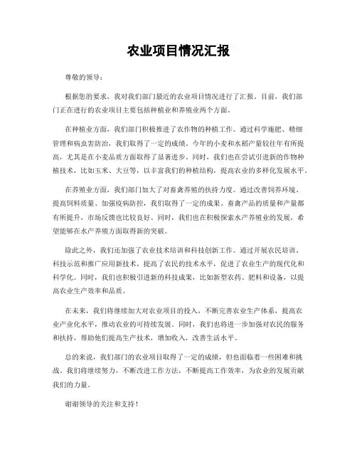 农业项目情况汇报