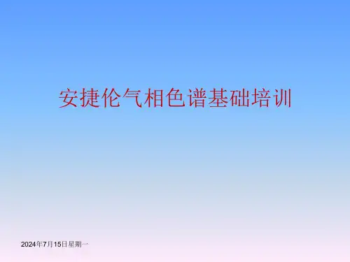安捷伦气相色谱基础培训分析