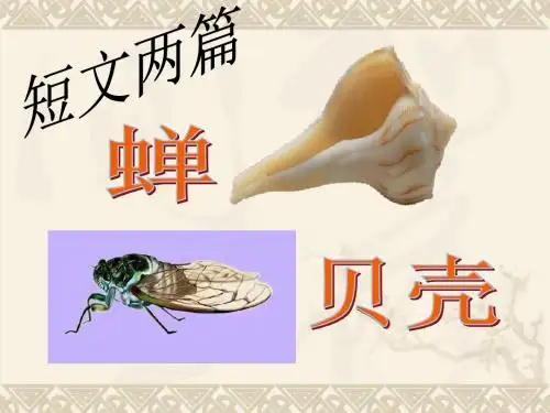 短文两篇·蝉·贝壳PPT课件42 人教版 (共27张PPT)