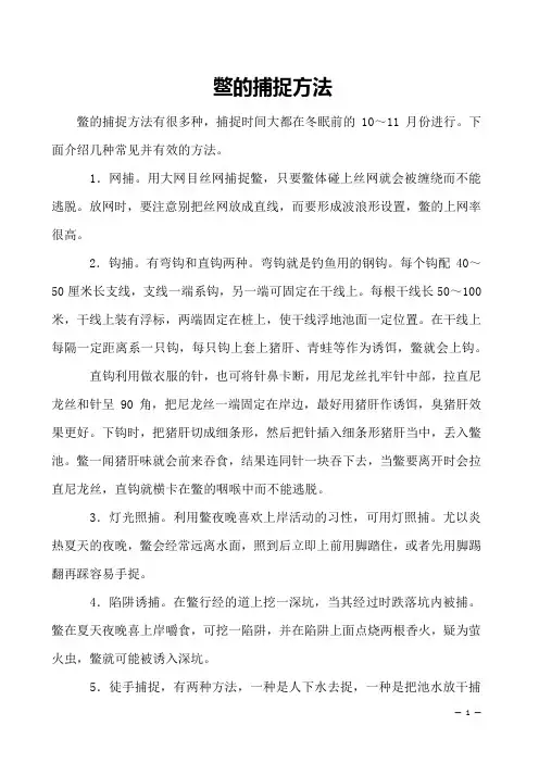 鳖的捕捉方法