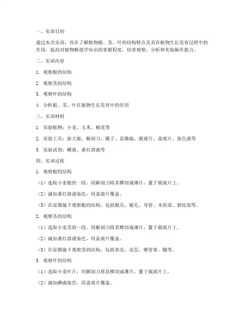观察根茎叶结构的实训报告