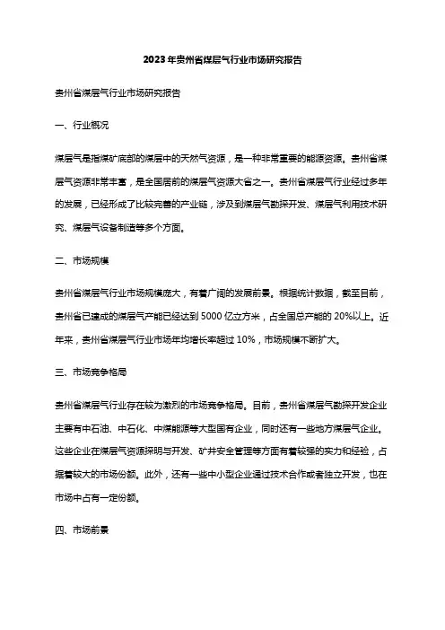 2023年贵州省煤层气行业市场研究报告