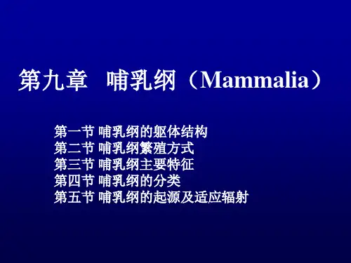动物学第九章：哺乳纲的主要特征