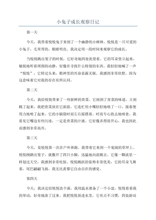 小兔子成长观察日记