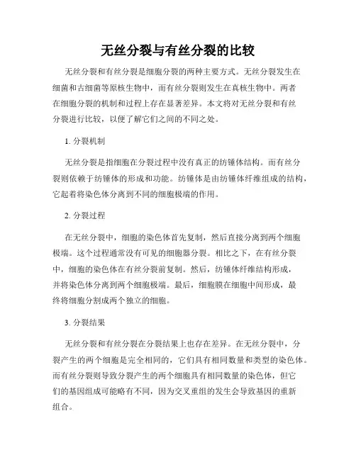 无丝分裂与有丝分裂的比较