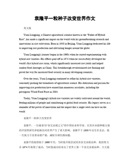 袁隆平一粒种子改变世界作文