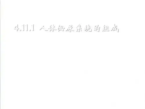 【2019新苏教版】七年级生物下册：11.1《人体泌尿系统的组成》ppt精编课件