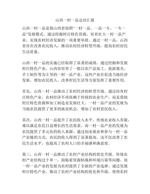山西一村一品总结汇报