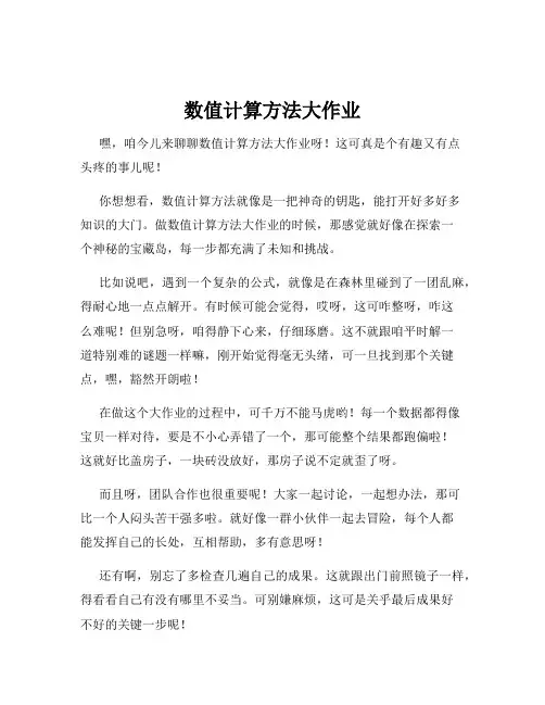 数值计算方法大作业