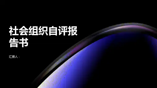 某市社会组织自评报告书