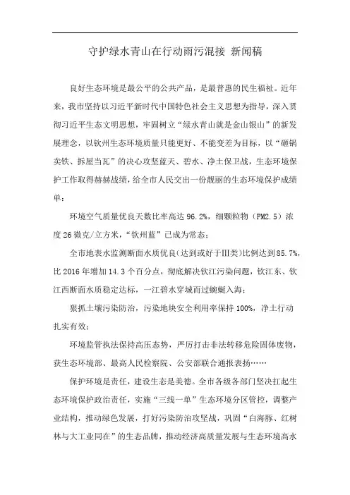 守护绿水青山在行动雨污混接 新闻稿