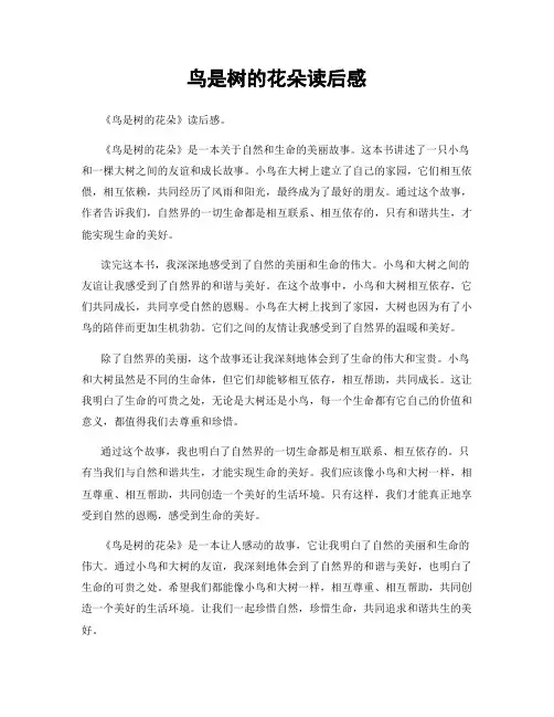 鸟是树的花朵读后感