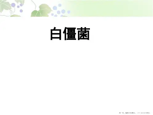 (白僵菌)