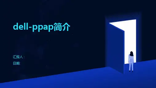 dell-ppap简介